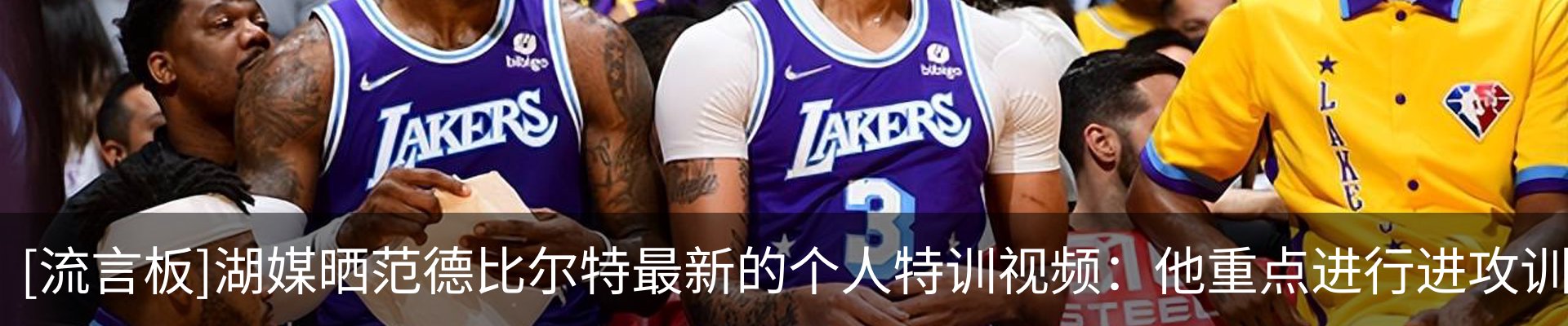 最新动态